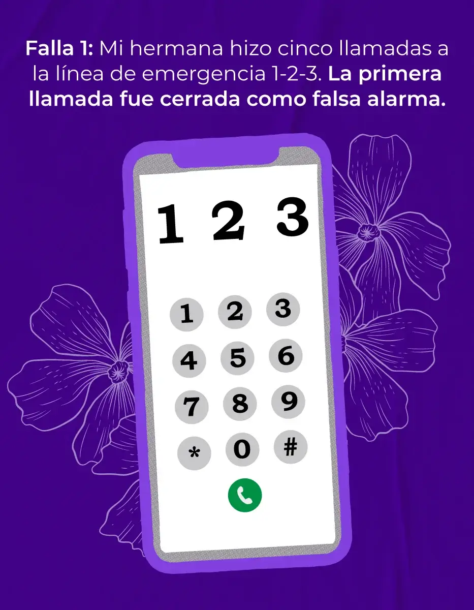 ca8Img