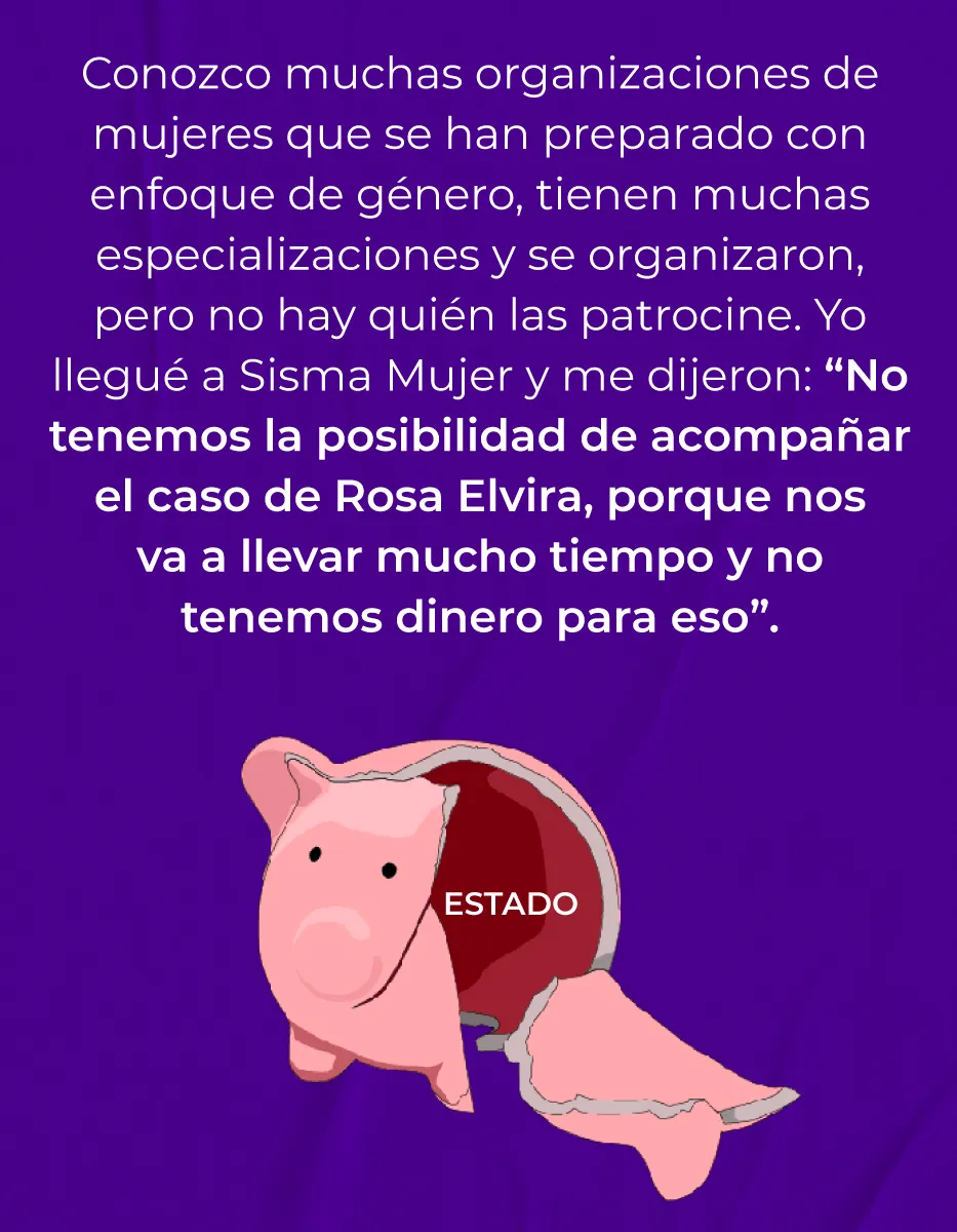 ca9Img